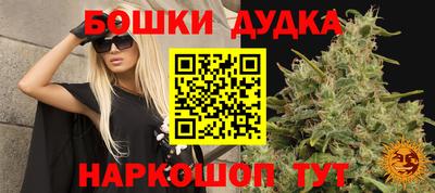 наркотики Будённовск