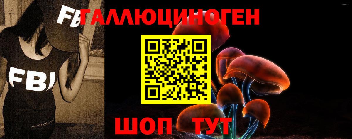 Кохма  Галлюциногенные грибы Magic Shrooms  Галлюциногенные грибы мухоморы  сколько стоит  Вход с VPN 
